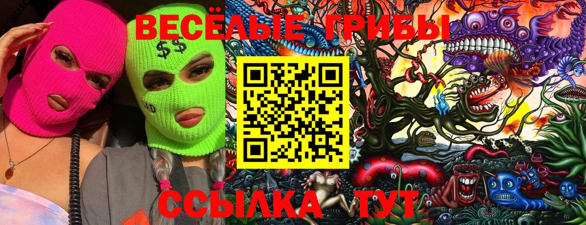 Зима  Галлюциногенные грибы Psilocybine cubensis  Вход с VPN 